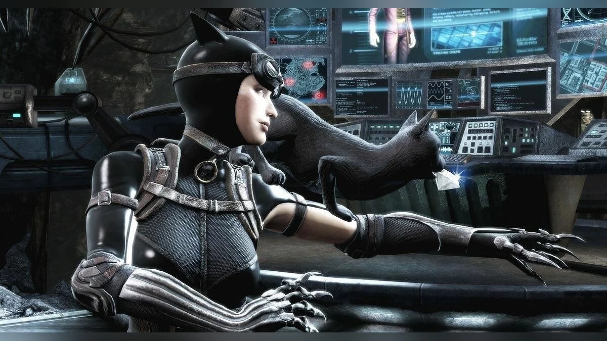 Девушки из Injustice: Gods Among Us / Картинка 24