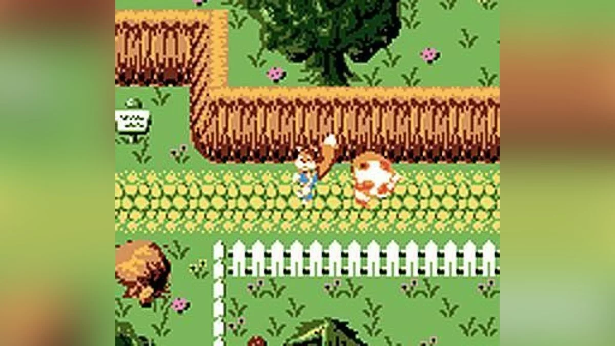 Картинка из 