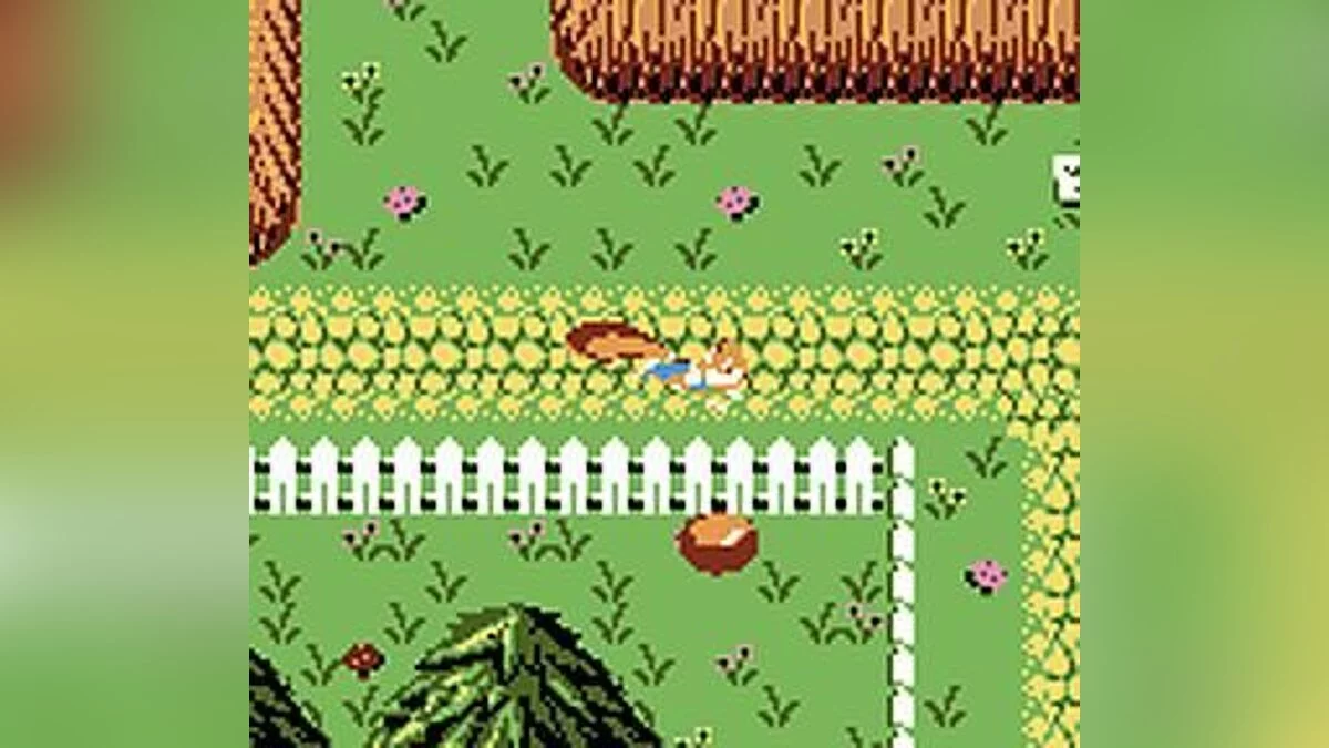 Картинка из 