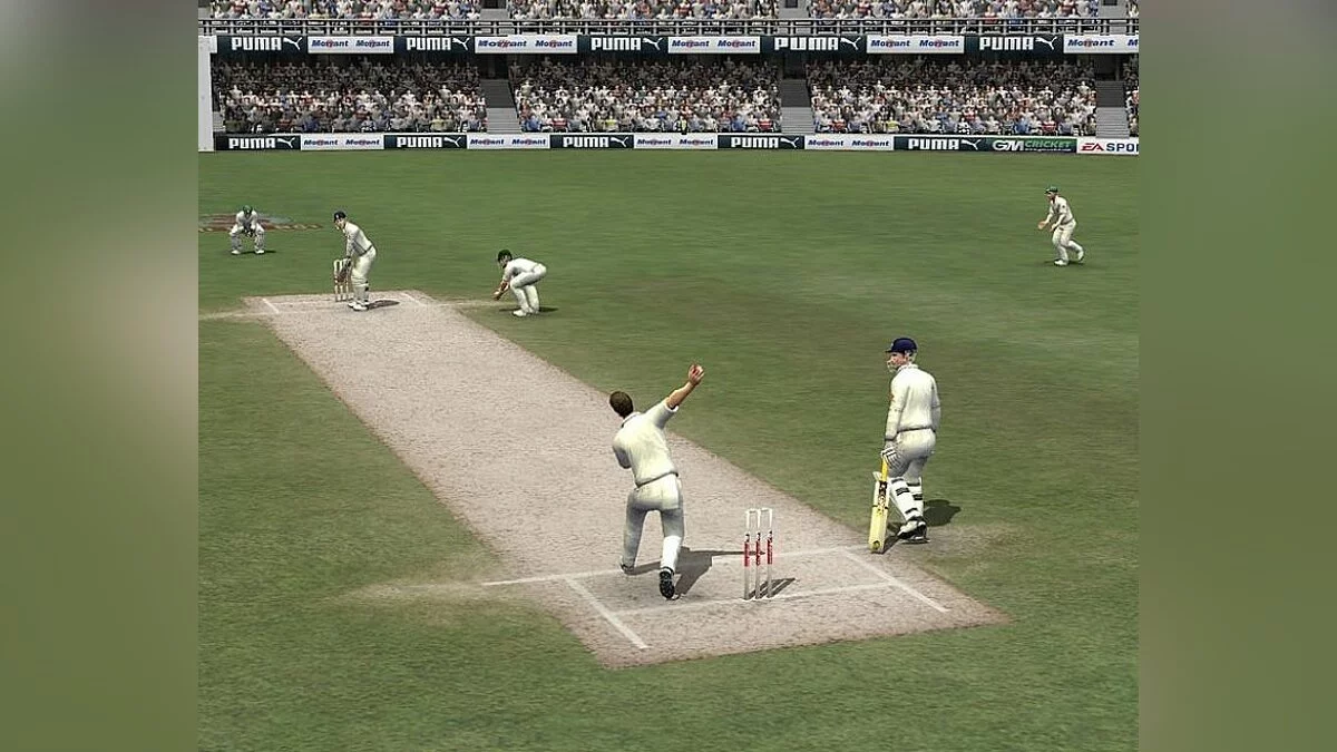 Скриншоты из Cricket 07