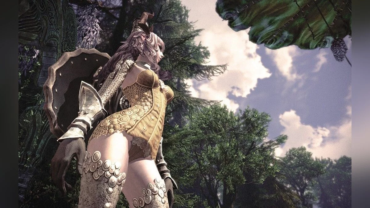 Девушки из TERA / Картинка 22