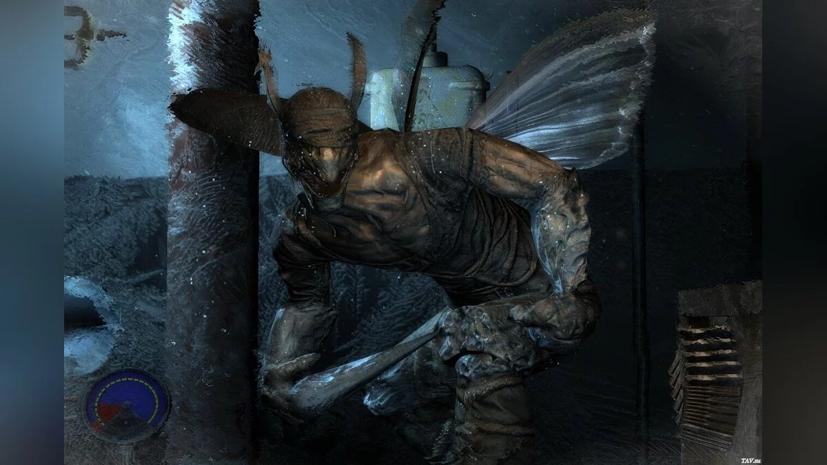 Картинка из 