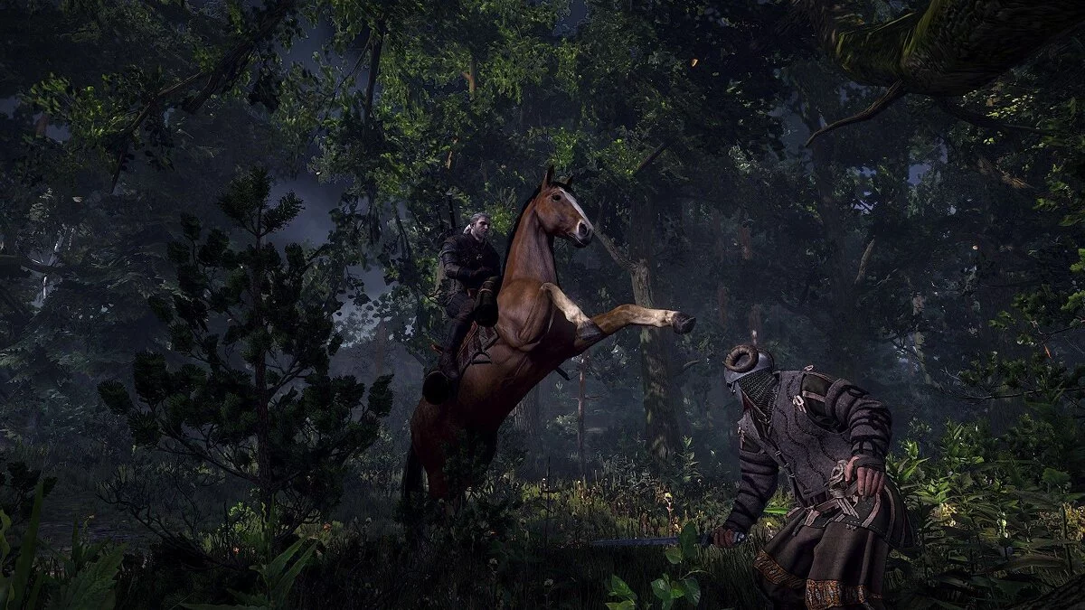 Скриншоты из The Witcher 3: Wild Hunt / Картинка 8