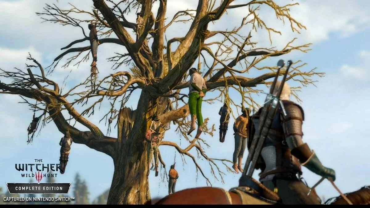 Скриншоты из The Witcher 3: Wild Hunt - Complete Edition / Картинка 356