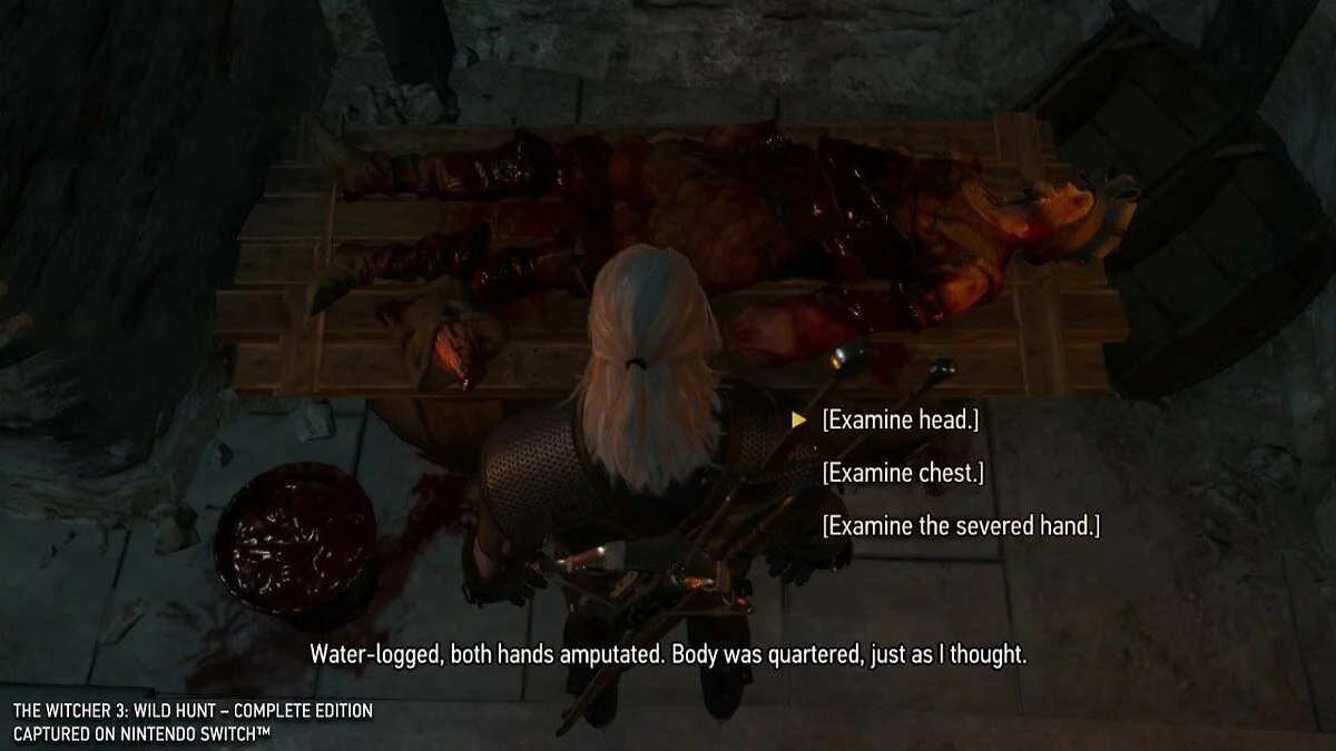 Скриншоты из The Witcher 3: Wild Hunt - Complete Edition / Картинка 368