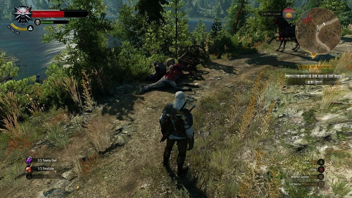 Скриншоты из The Witcher 3: Wild Hunt - Complete Edition / Картинка 374