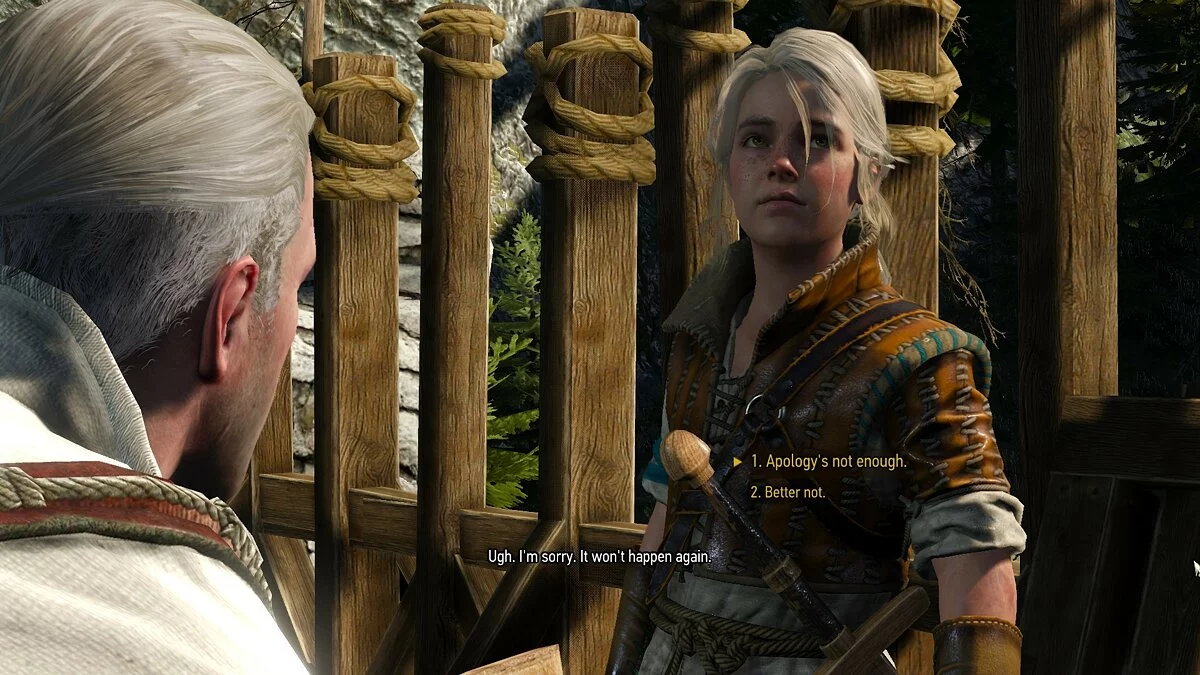 Скриншоты из The Witcher 3: Wild Hunt / Картинка 437
