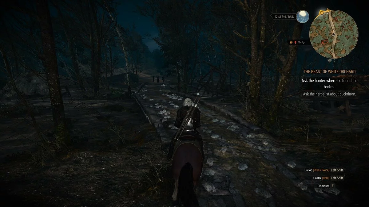 Скриншоты из The Witcher 3: Wild Hunt / Картинка 448