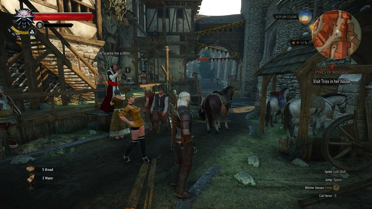 Скриншоты из The Witcher 3: Wild Hunt / Картинка 456
