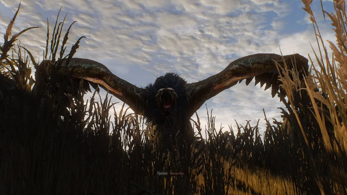 Скриншоты из The Witcher 3: Wild Hunt / Картинка 493