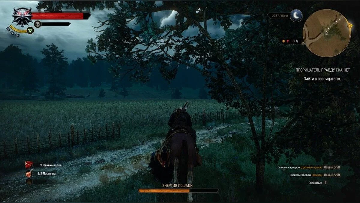 Скриншоты из The Witcher 3: Wild Hunt - Complete Edition / Картинка 261