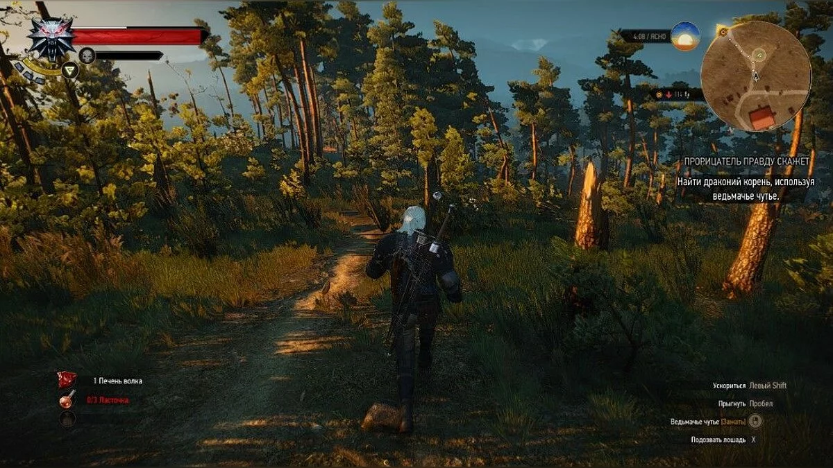 Скриншоты из The Witcher 3: Wild Hunt - Complete Edition / Картинка 268