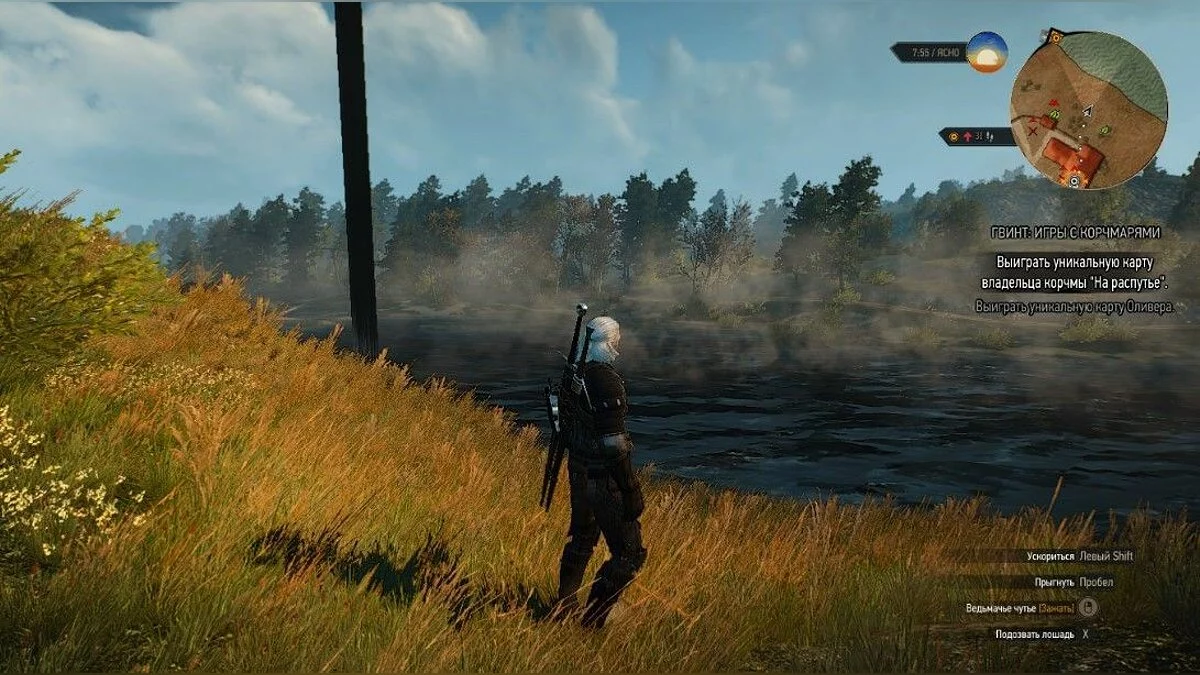 Скриншоты из The Witcher 3: Wild Hunt - Complete Edition / Картинка 270