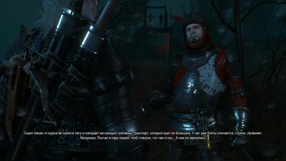 Скриншоты из The Witcher 3: Wild Hunt - Complete Edition / Картинка 274