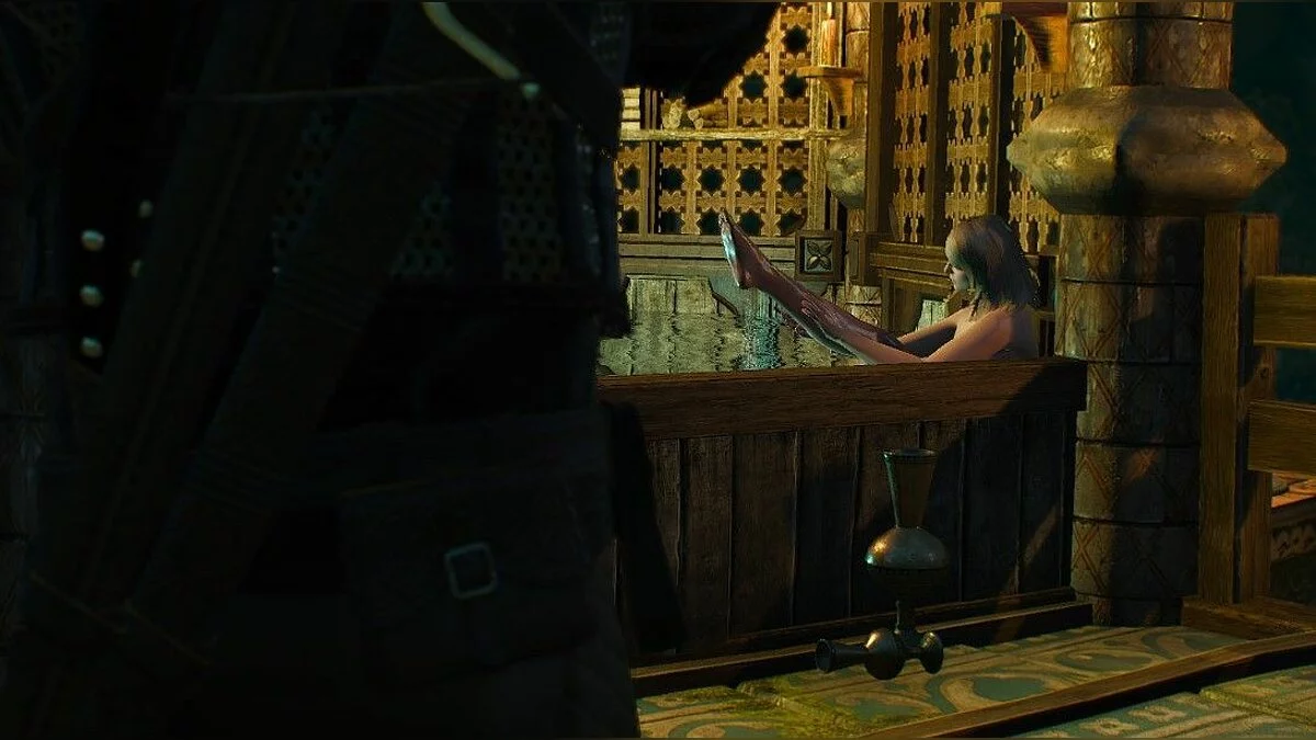 Скриншоты из The Witcher 3: Wild Hunt - Complete Edition / Картинка 285