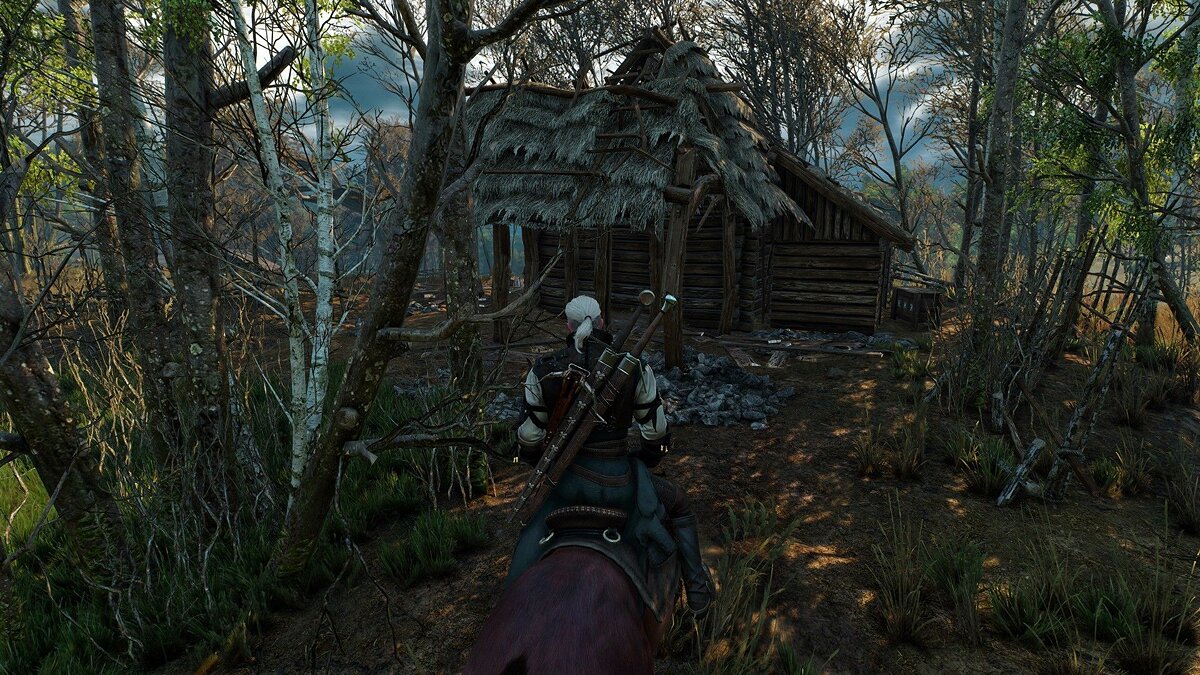 The witcher 3 music фото 94
