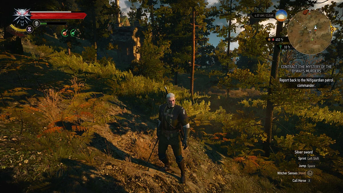 Скриншоты из The Witcher 3: Wild Hunt - Complete Edition / Картинка 351