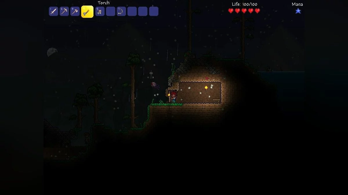 Скриншоты из Terraria / Картинка 29