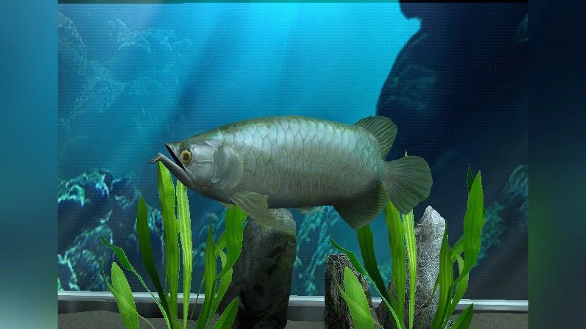 Скриншоты из My Aquarium