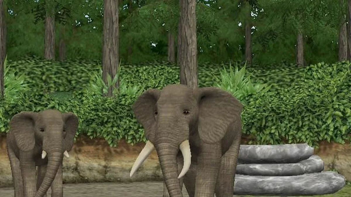 Скриншоты из My Zoo / Картинка 1