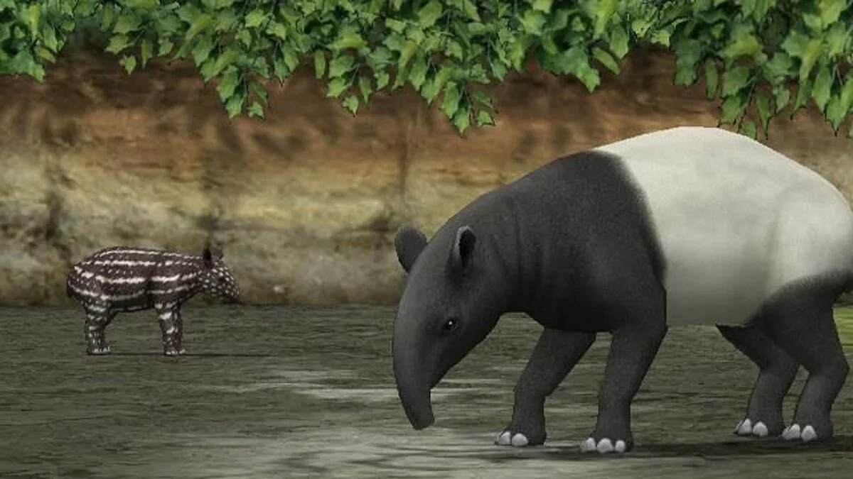 Скриншоты из My Zoo / Картинка 7