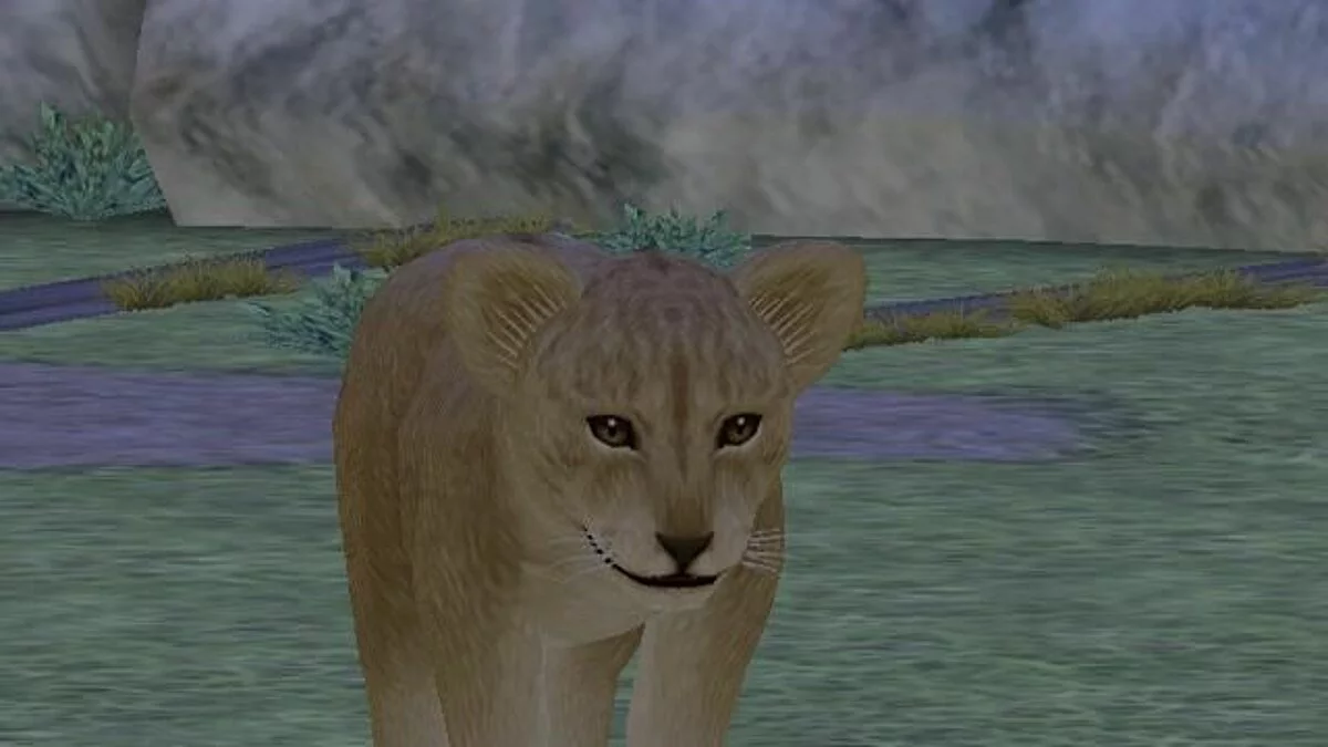 Скриншоты из My Zoo / Картинка 8