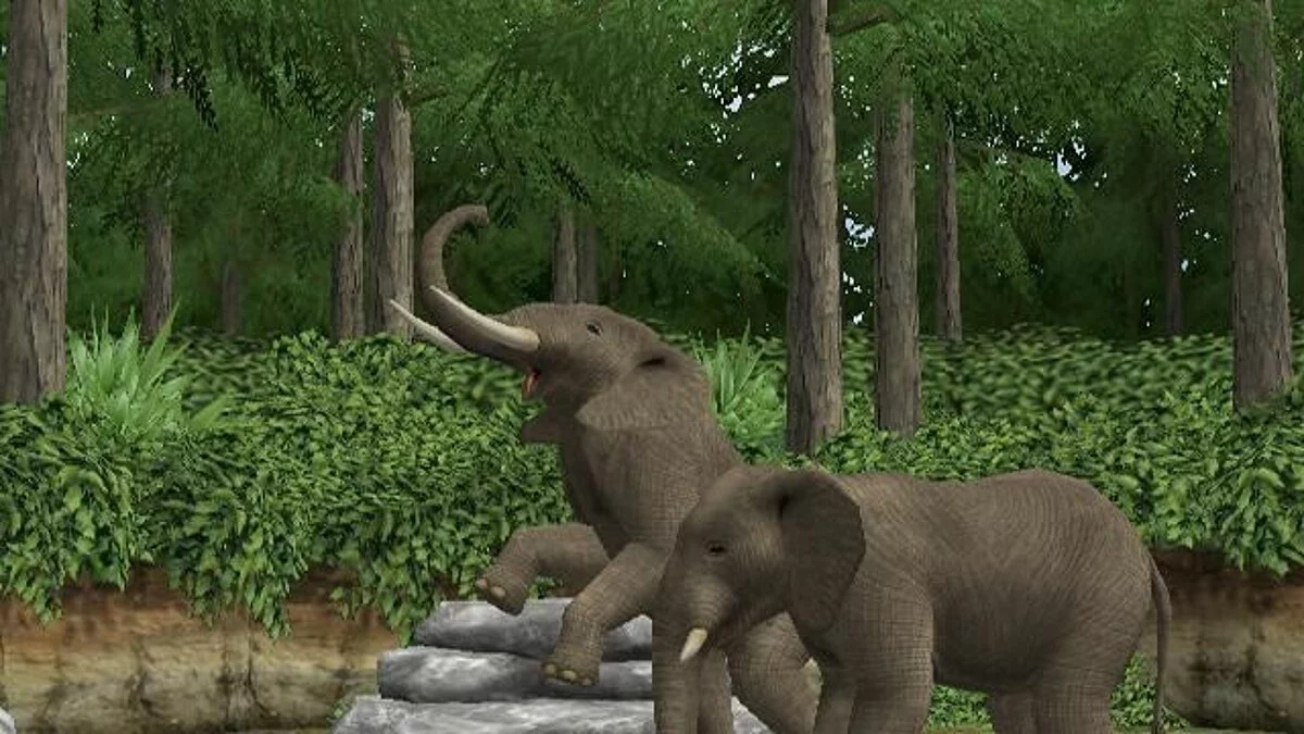 Скриншоты из My Zoo / Картинка 18