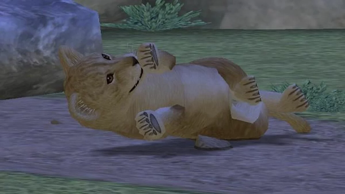 Скриншоты из My Zoo / Картинка 24