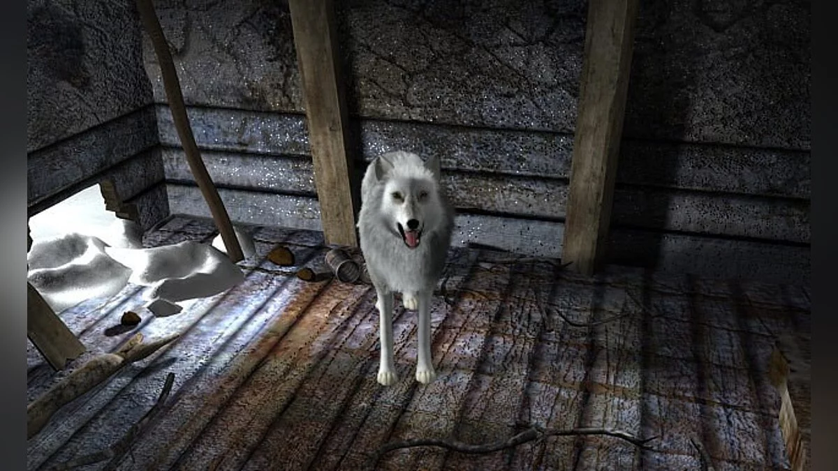Скриншоты из Nancy Drew: The White Wolf of Icicle Creek