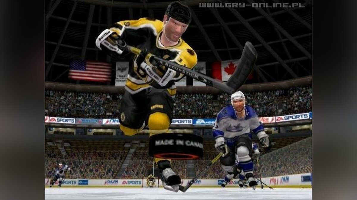 Nhl 2004. НХЛ 2004. NHL 2004 ps2. Миннесота игра. Игра про Миннесоту компьютерная.