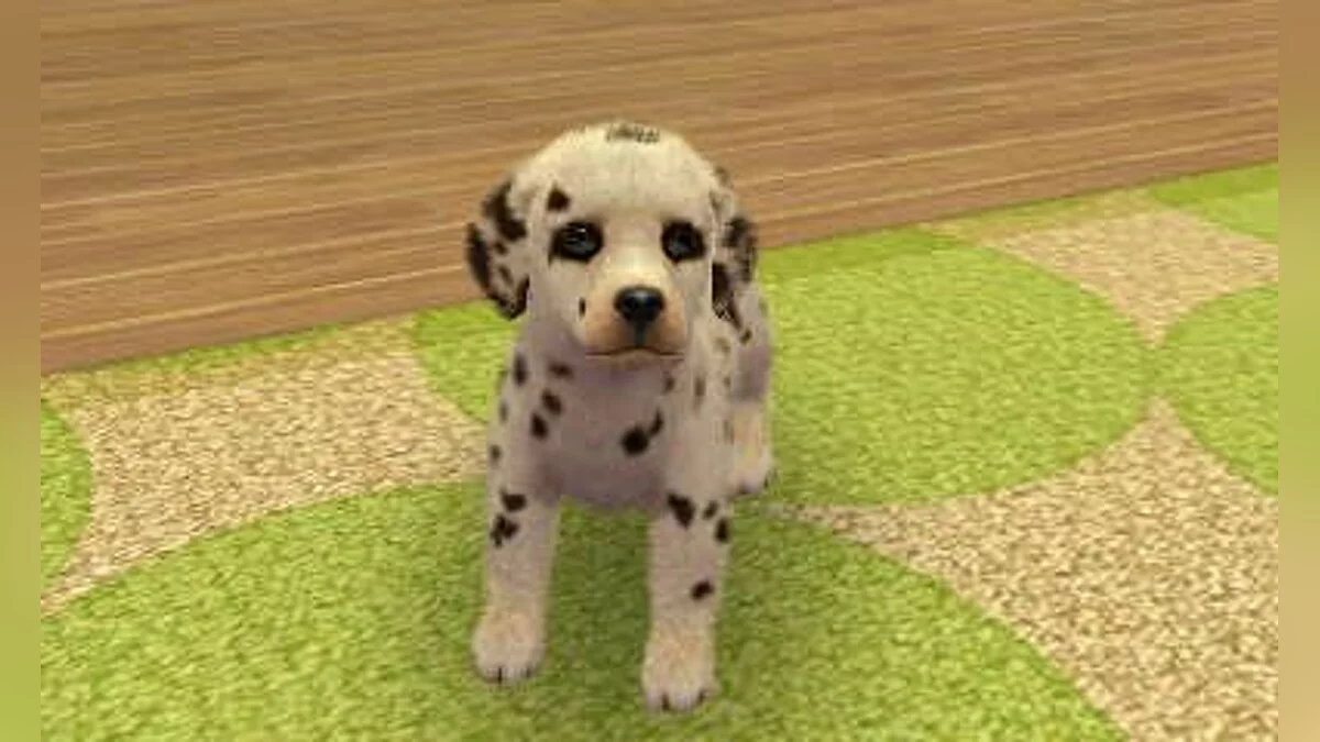 Скриншоты из Nintendogs + Cats