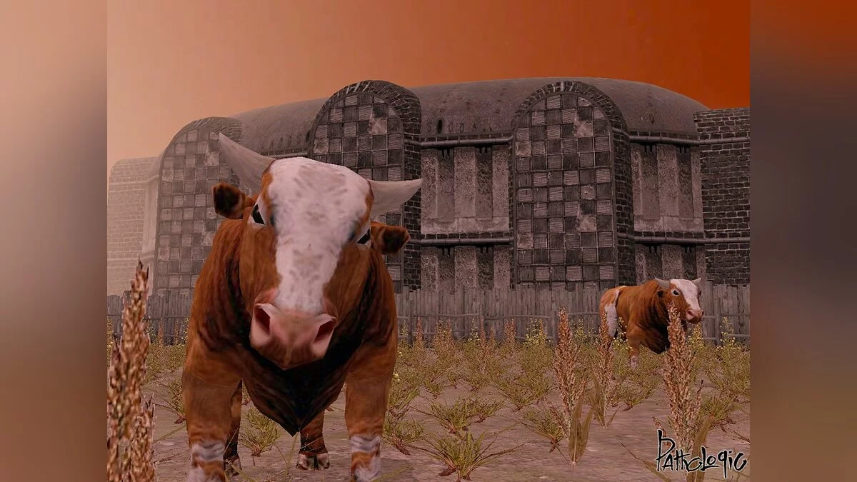 Картинка из 