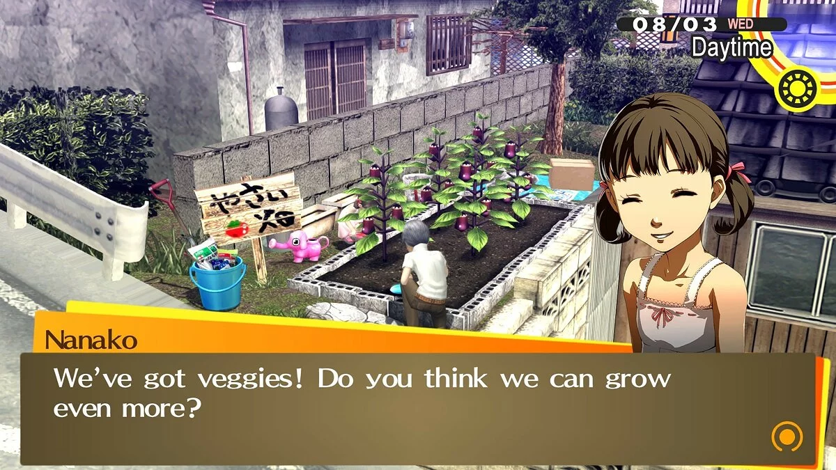 Скриншоты из Persona 4 Golden / Картинка 108