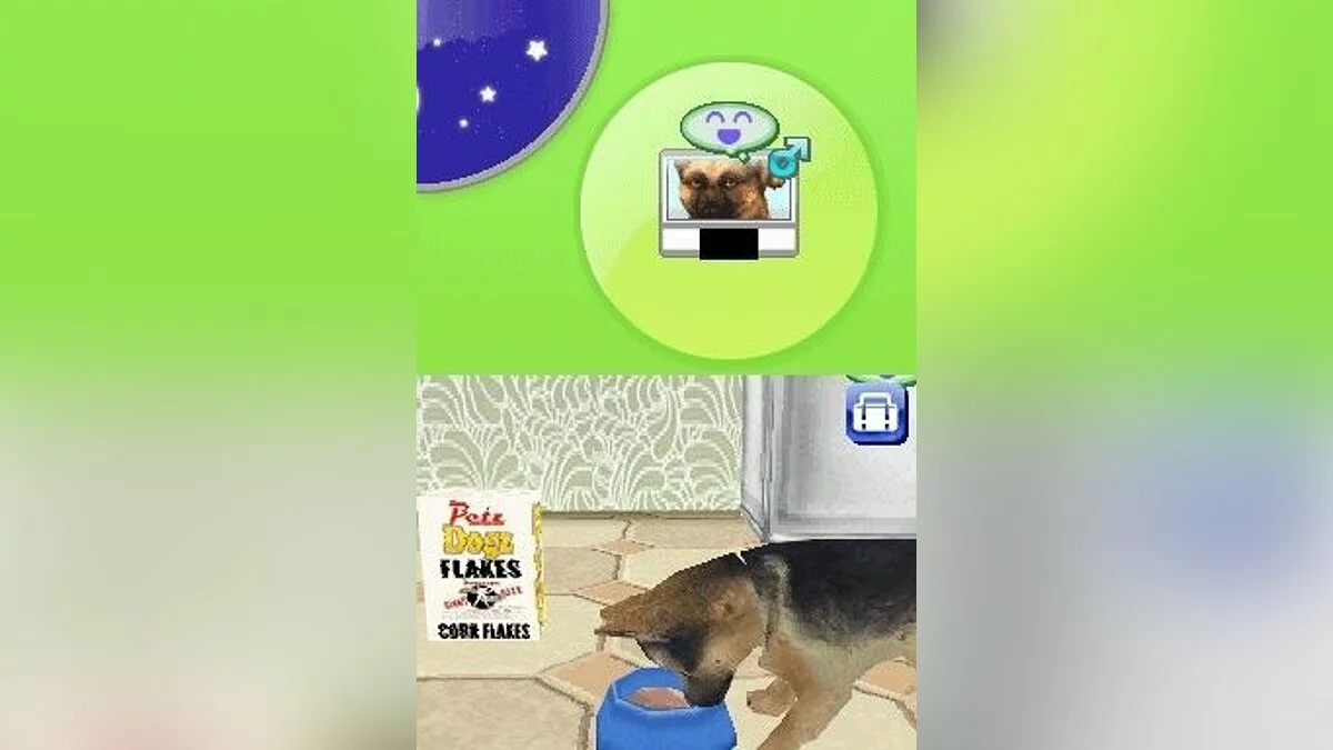 Картинка из 