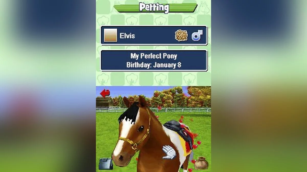 Скриншоты из Pony Friends: Mini Breeds Edition