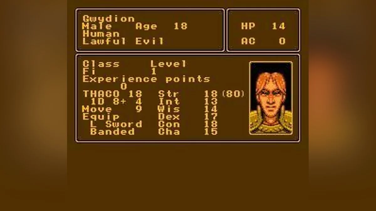 Скриншоты из Pool of Radiance / Картинка 81