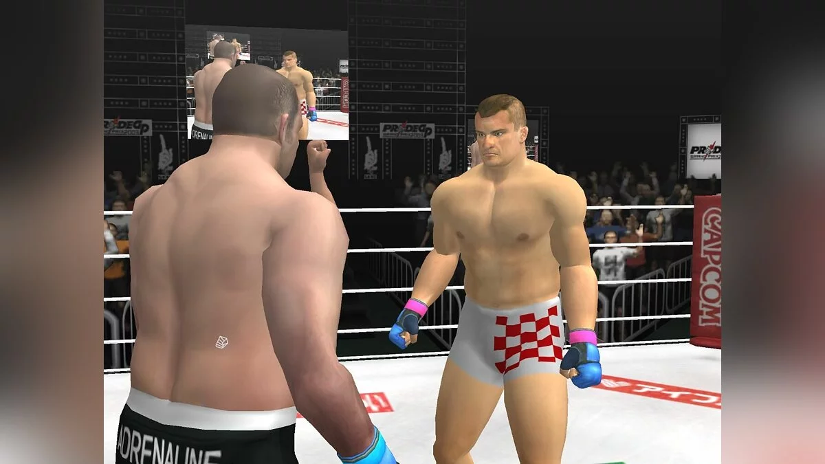 Скриншоты из Pride GP Grand Prix 2003 / Картинка 29