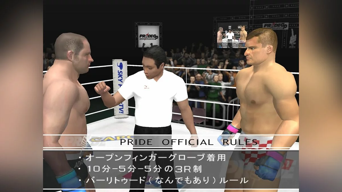 Скриншоты из Pride GP Grand Prix 2003 / Картинка 30