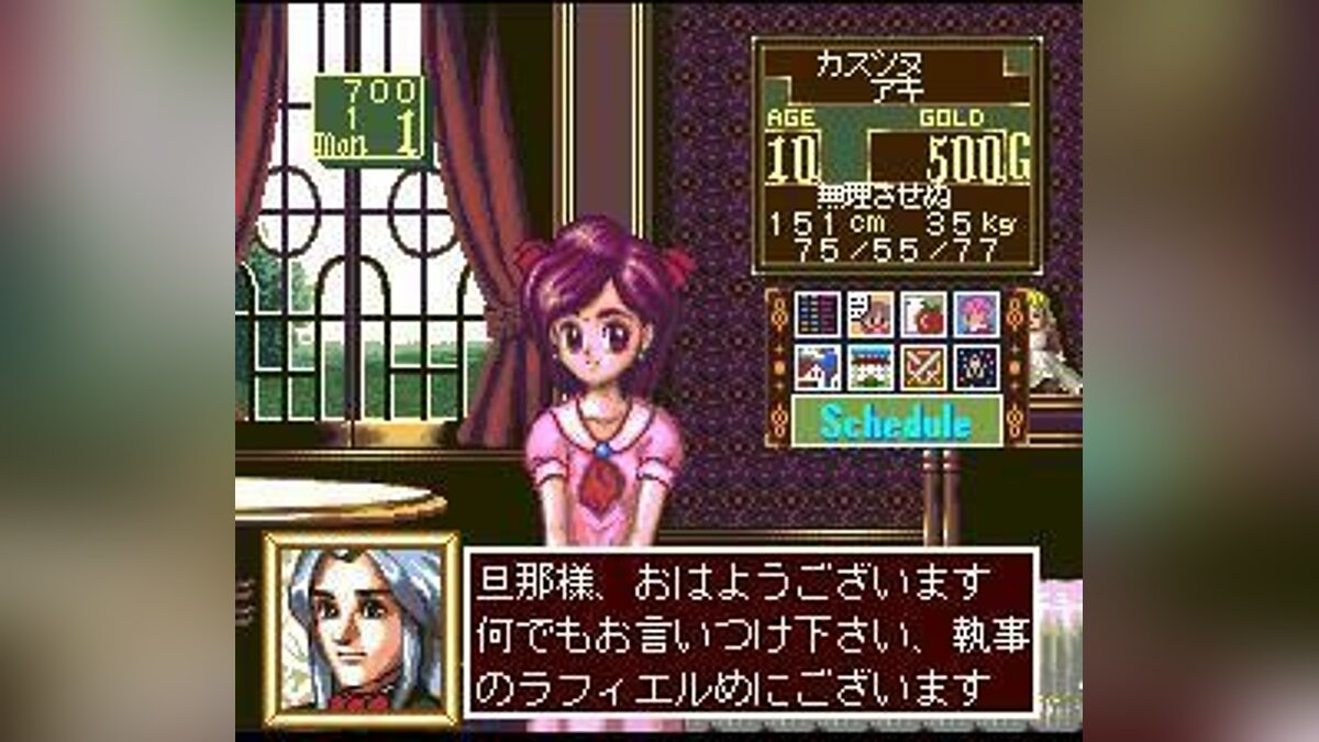 Princess Maker: Legend of Another World - что это за игра, трейлер,  системные требования, отзывы и оценки, цены и скидки, гайды и прохождение,  похожие игры