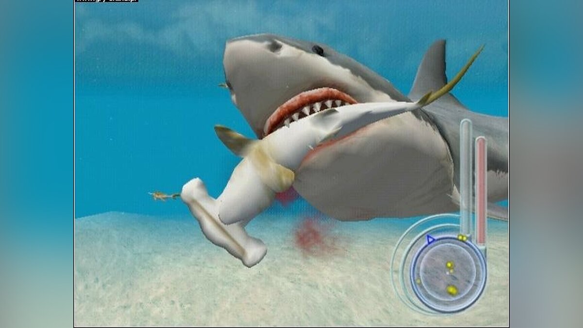 Есть игра кальмаров. Jaws unleashed ps2. Челюсти игра про акулу. Игра челюсти 2. Игра в кальмара.