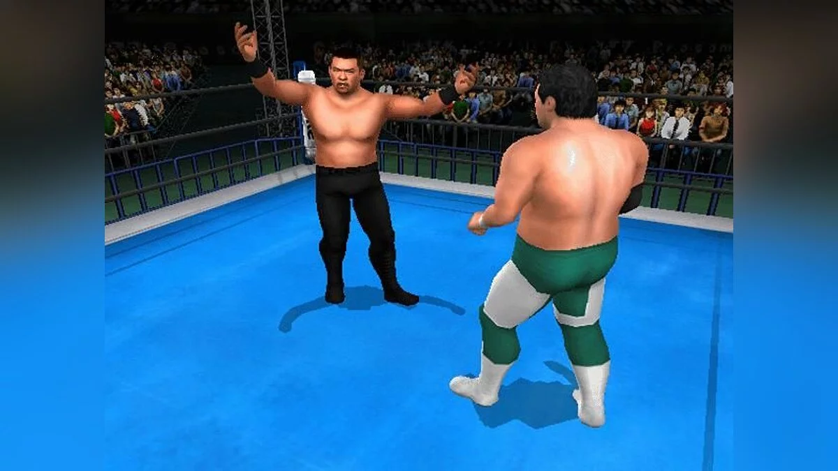 Скриншоты из King of Colosseum Green / Картинка 3