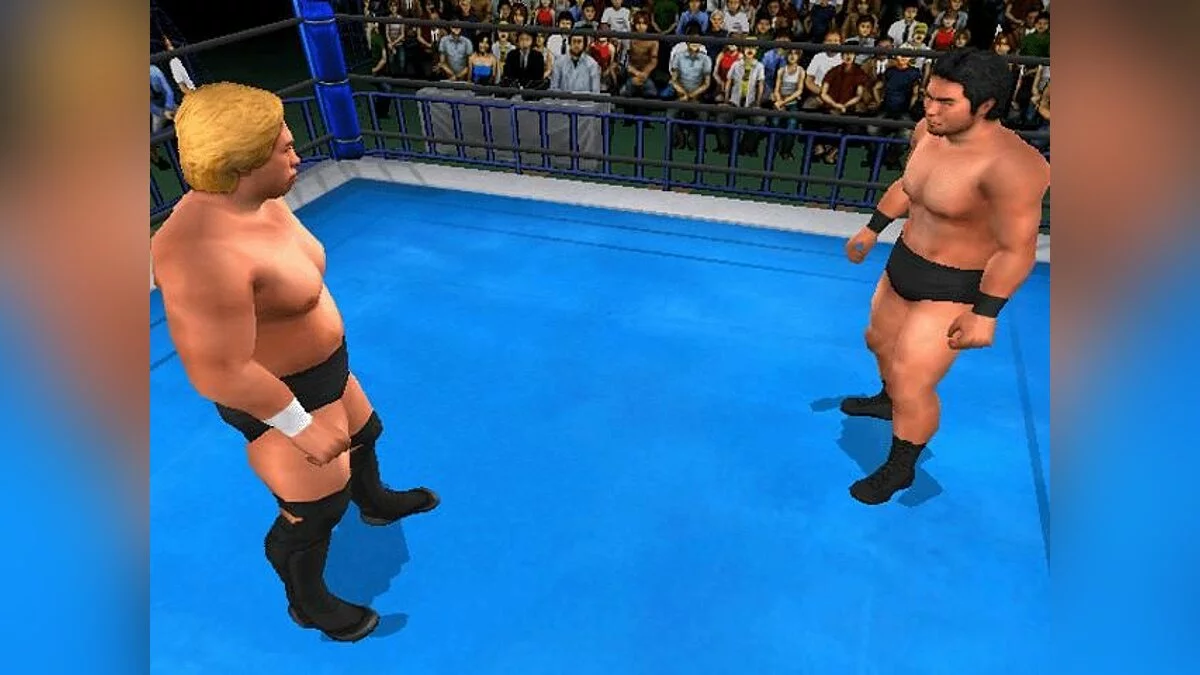 Скриншоты из King of Colosseum Green / Картинка 4