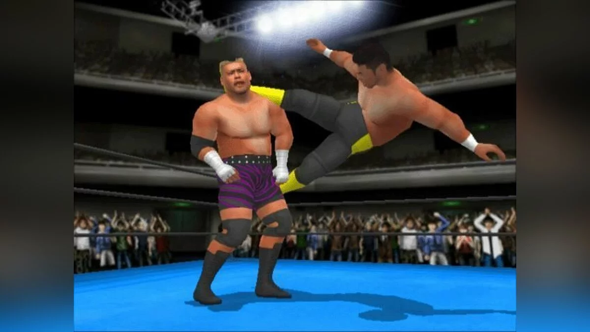 Скриншоты из King of Colosseum Red / Картинка 6