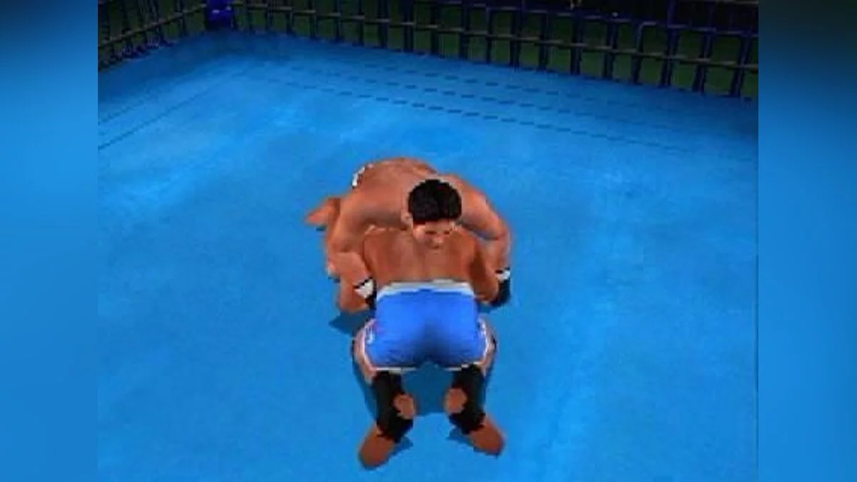 Скриншоты из King of Colosseum Red / Картинка 10