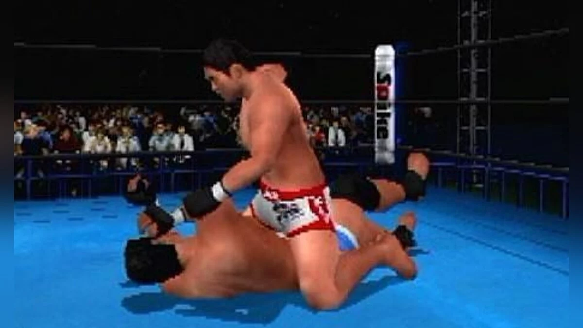 Скриншоты из King of Colosseum Red / Картинка 11