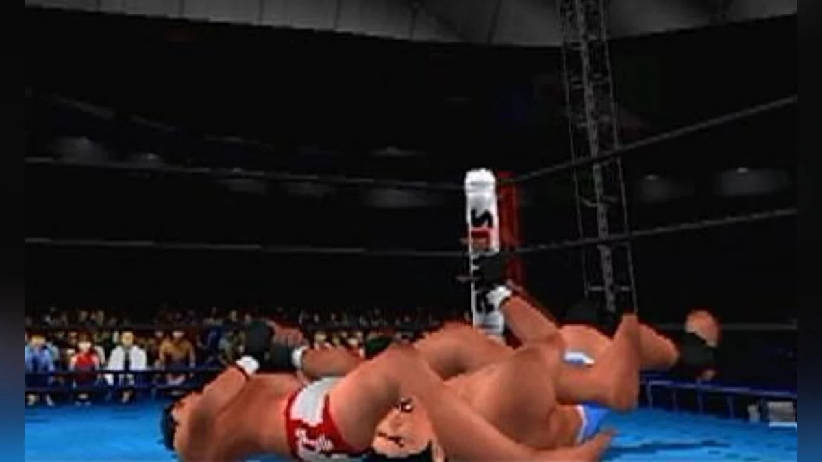 Скриншоты из King of Colosseum Red / Картинка 12