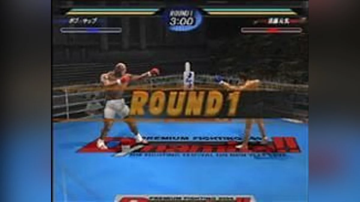 Скриншоты из K-1 Premium 2005 Dynamite!!