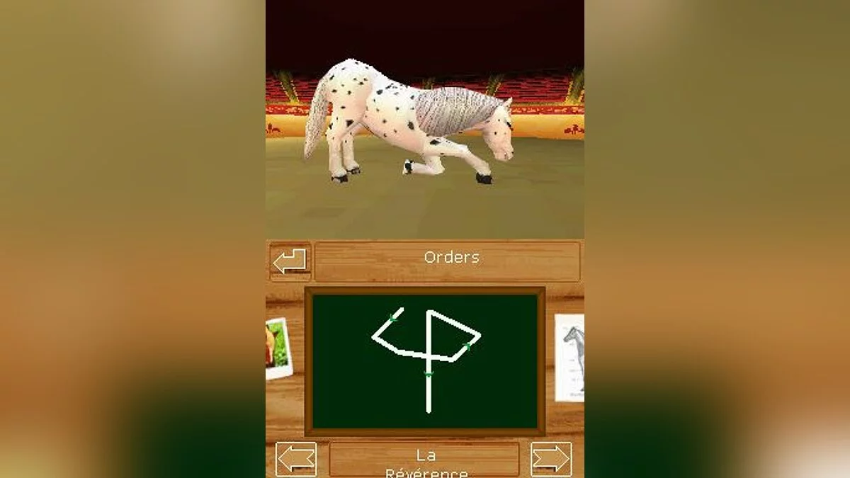 Скриншоты из Discovery Kids: Pony Paradise