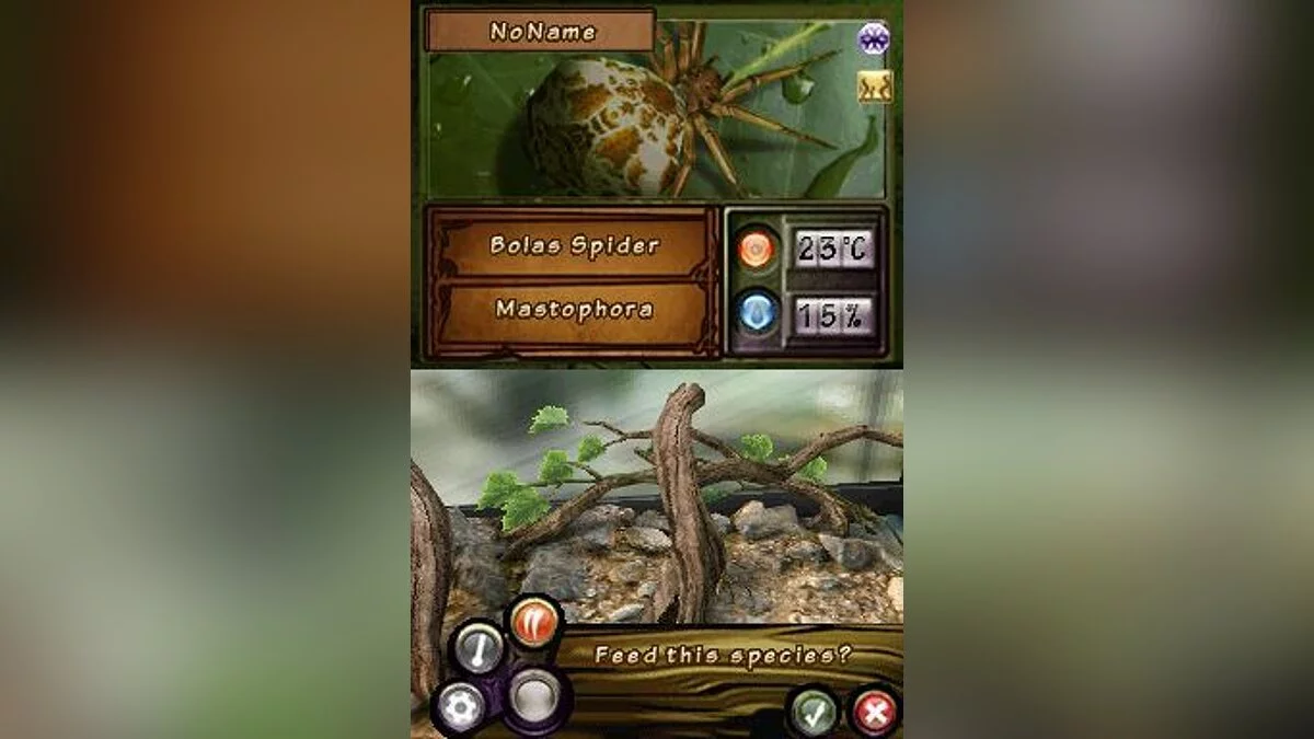 Скриншоты из Discovery Kids: Spider Quest