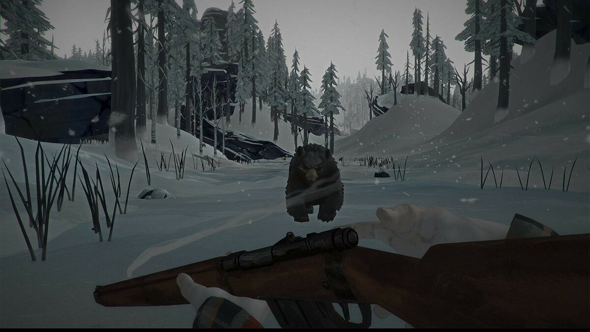 The Long Dark - что это за игра, трейлер, системные требования, отзывы и  оценки, цены и скидки, гайды и прохождение, похожие игры